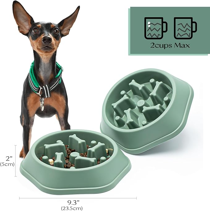 SafeBite Colorful Slow Feed Dog Bowl