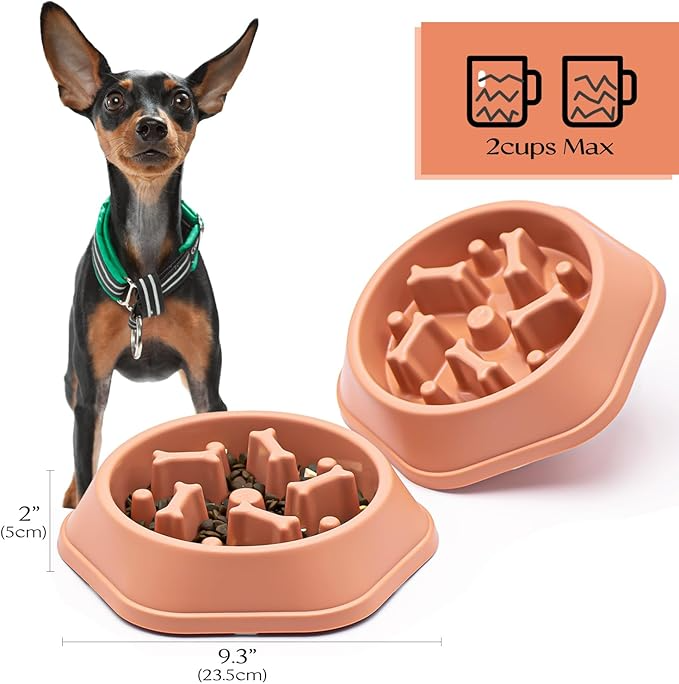 SafeBite Colorful Slow Feed Dog Bowl