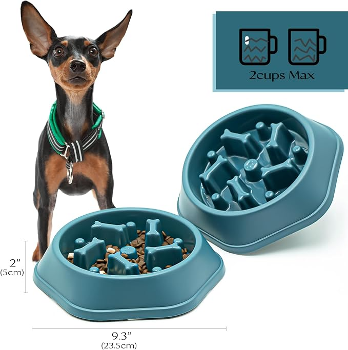 SafeBite Colorful Slow Feed Dog Bowl