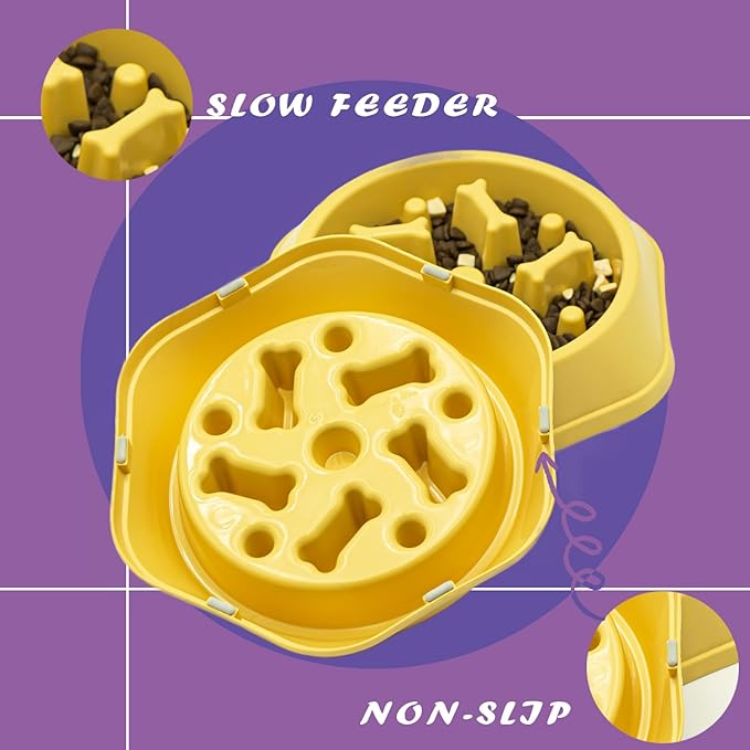 SafeBite Colorful Slow Feed Dog Bowl