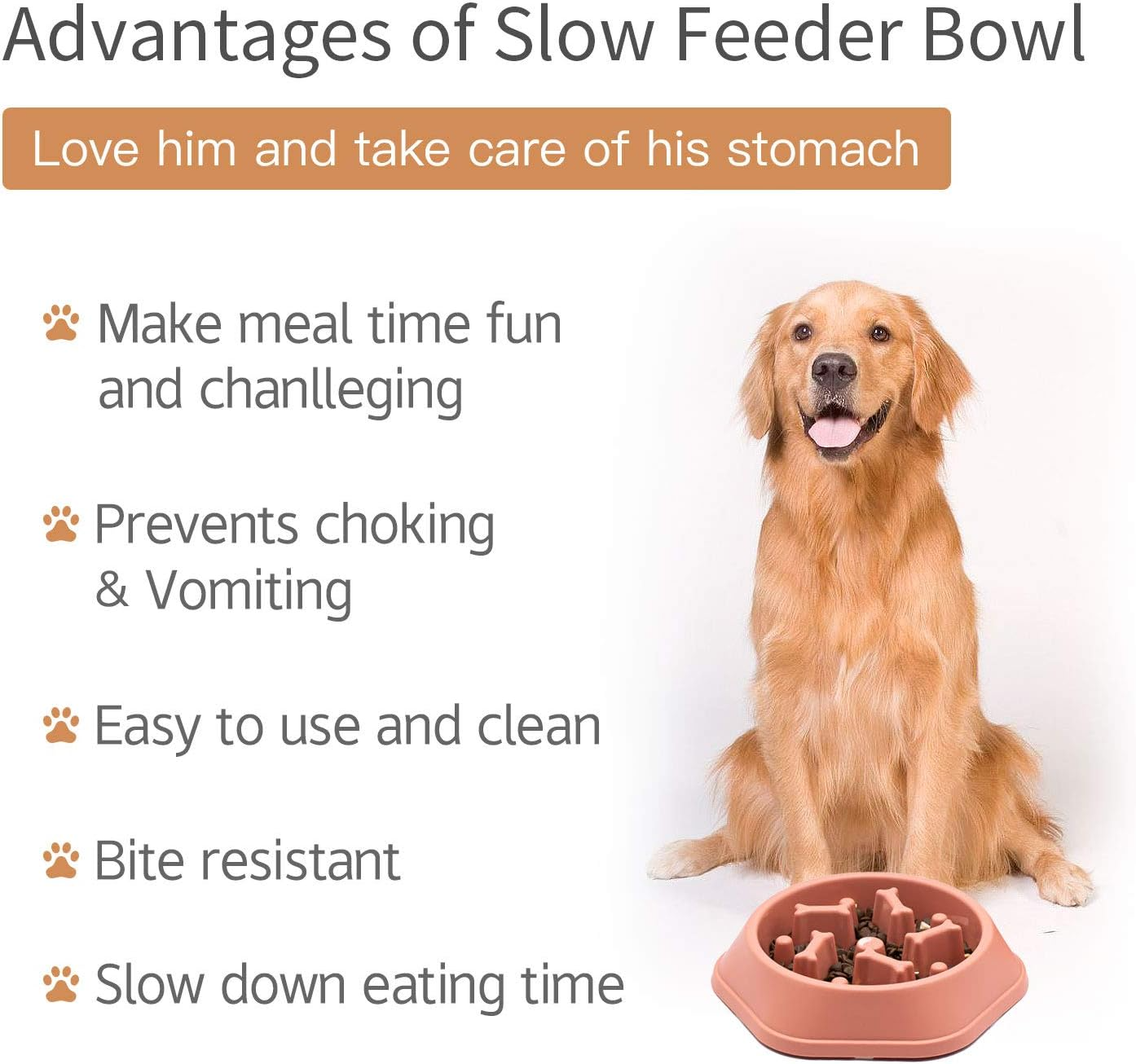 SafeBite Colorful Slow Feed Dog Bowl