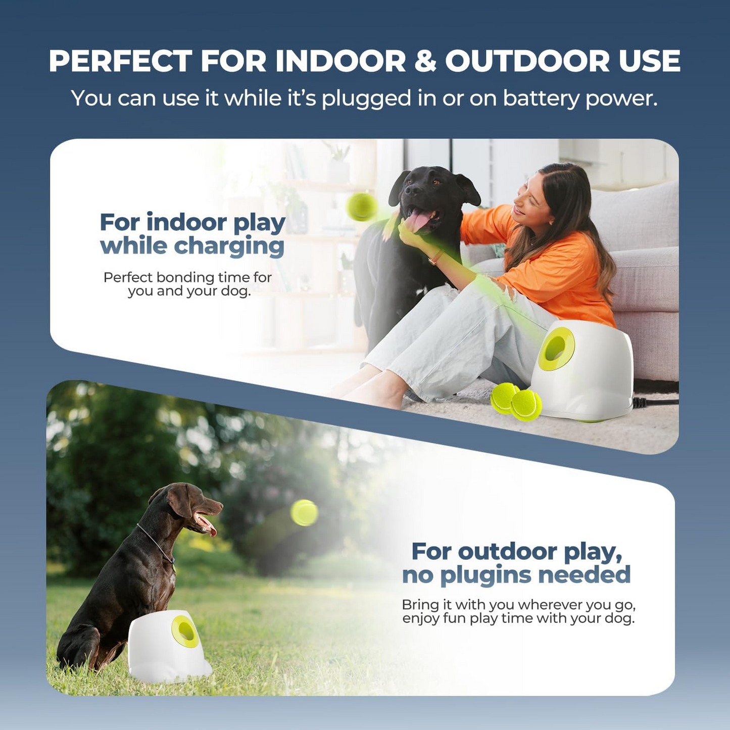 Automatic Interactive Dog Ball Launcher