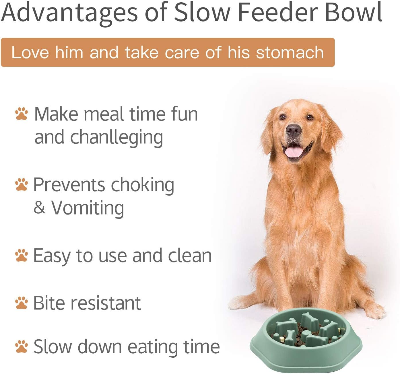 SafeBite Colorful Slow Feed Dog Bowl