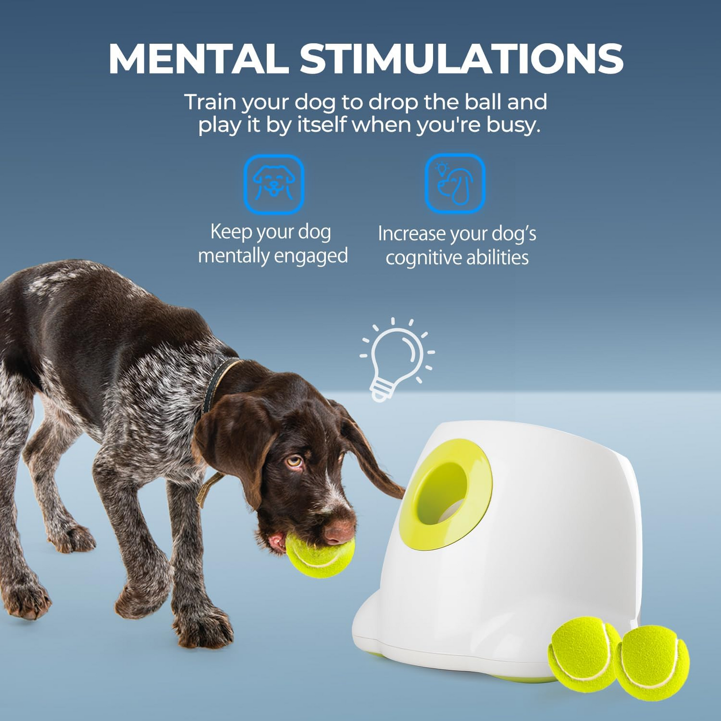 Automatic Interactive Dog Ball Launcher