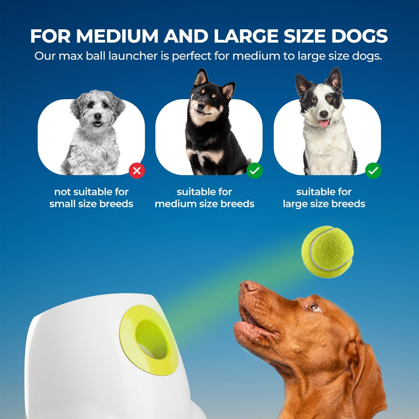 Automatic Interactive Dog Ball Launcher