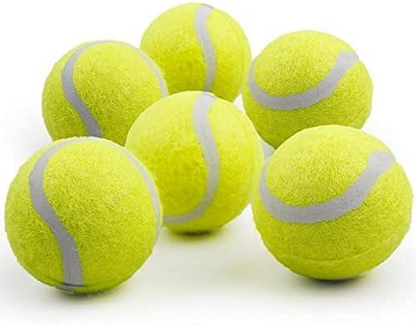 PAW BOOST Mini Tennis Ball Launcher for Dogs