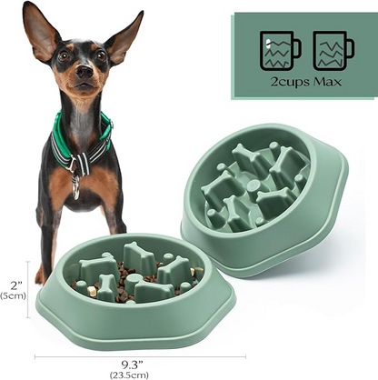 SafeBite Colorful Slow Feed Dog Bowl