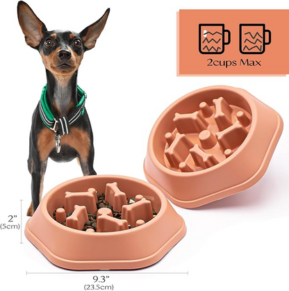SafeBite Colorful Slow Feed Dog Bowl