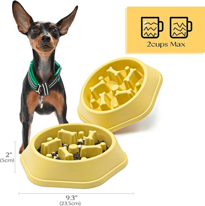 SafeBite Colorful Slow Feed Dog Bowl