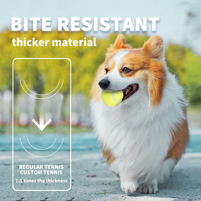 PAW BOOST Mini Tennis Ball Launcher for Dogs