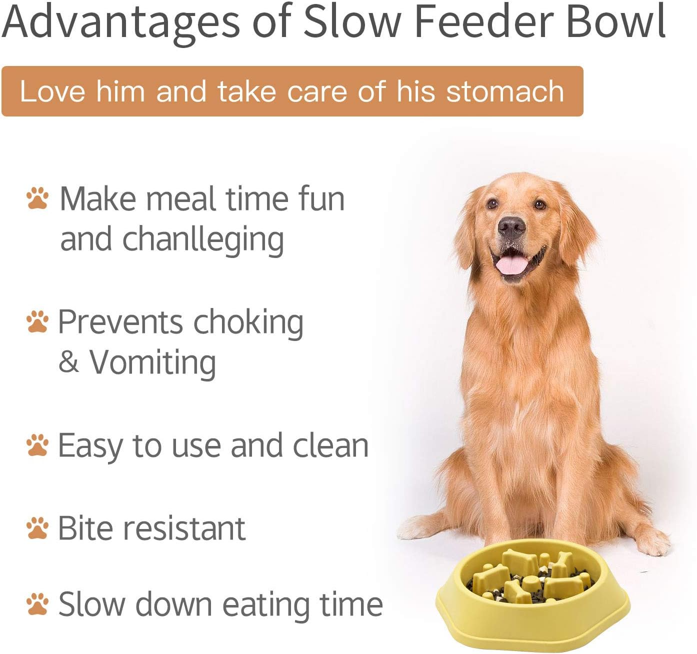 SafeBite Colorful Slow Feed Dog Bowl