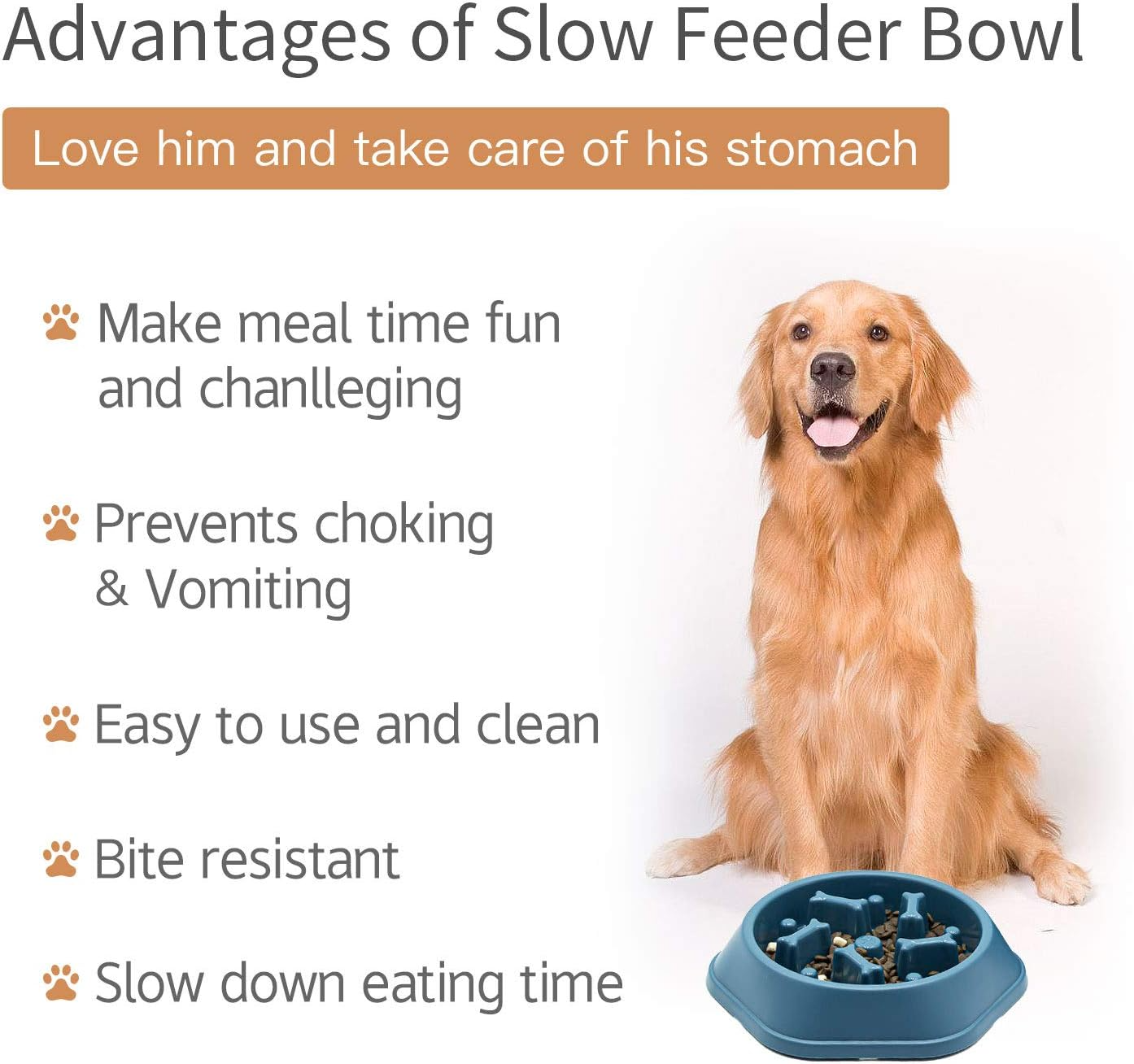 SafeBite Colorful Slow Feed Dog Bowl