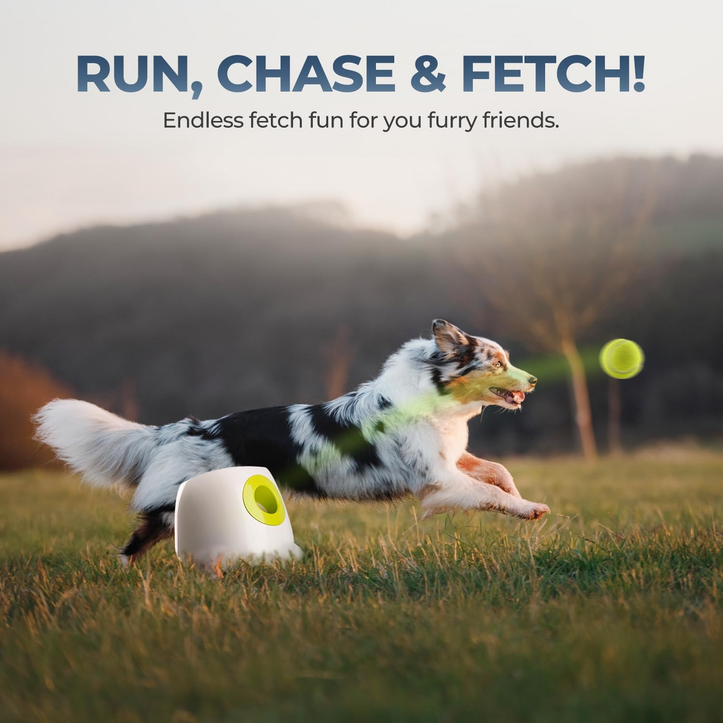 Automatic Interactive Dog Ball Launcher