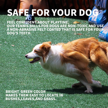 PAW BOOST Mini Tennis Ball Launcher for Dogs