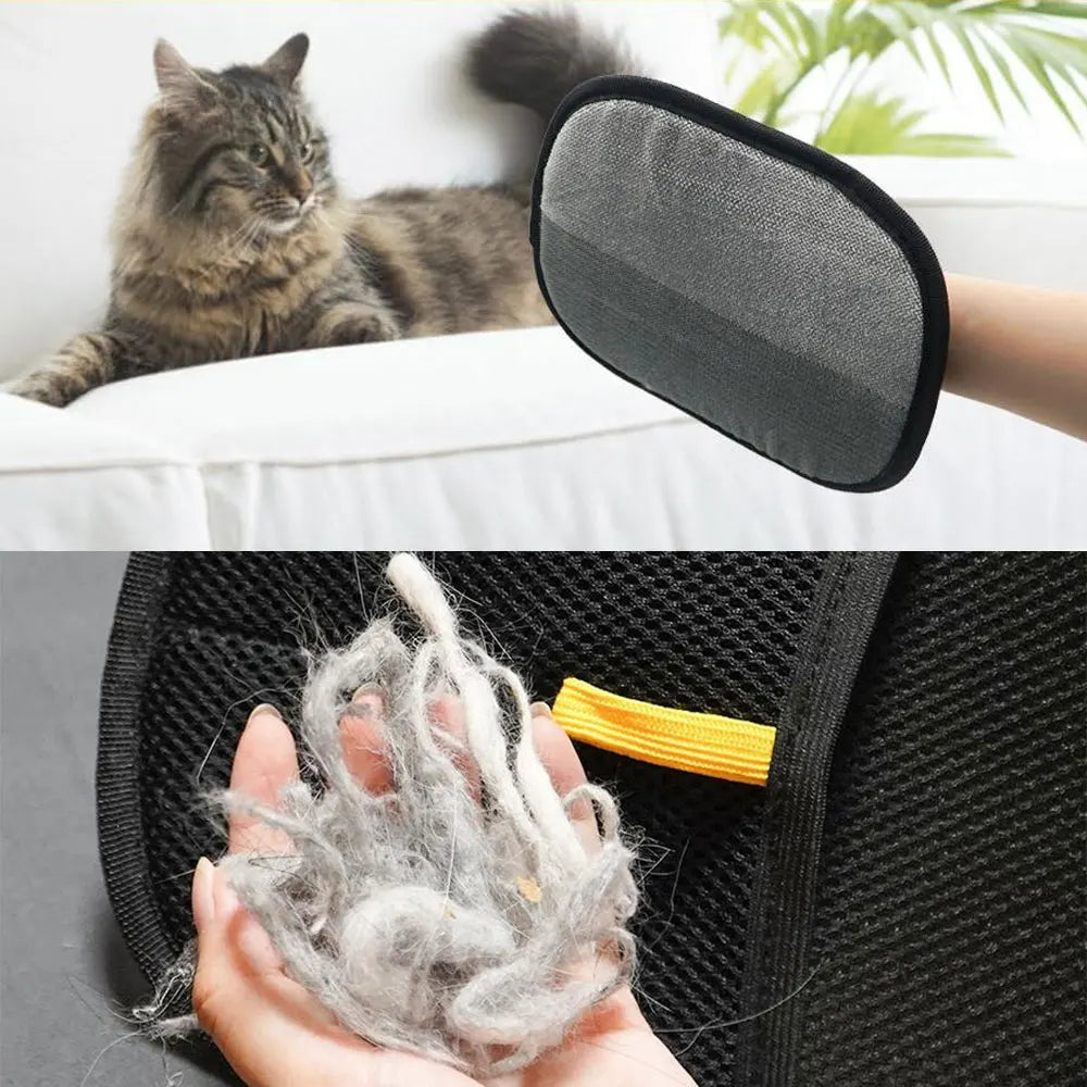Transform Grooming into Quality Time, Effortlessly!