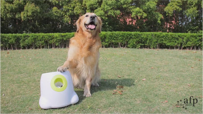 Automatic Interactive Dog Ball Launcher